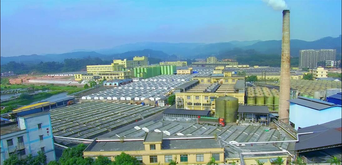 TG反波胆·(中国区)官方网站